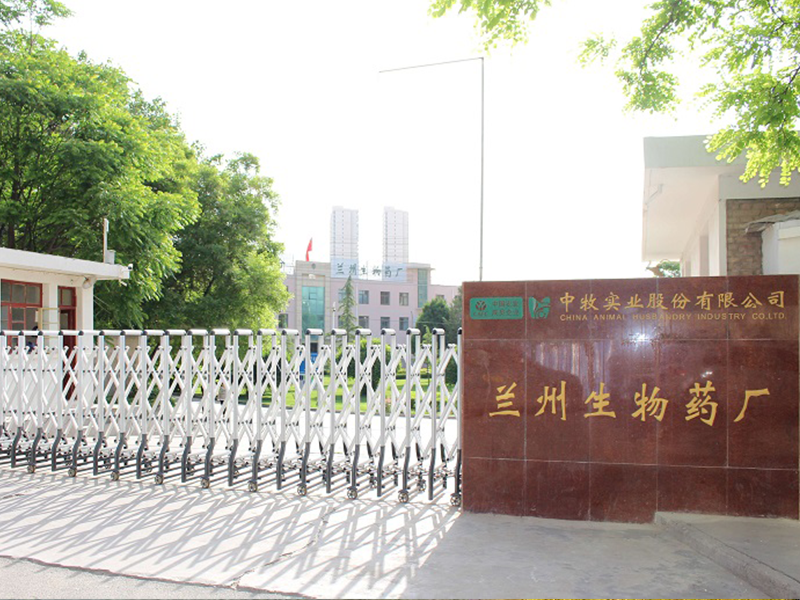 中牧股份兰州生物药厂 中牧股份兰州生物药厂